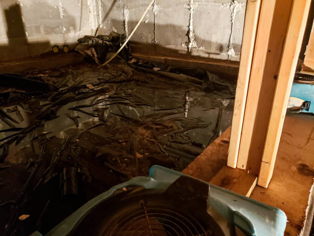 Water damage restoration